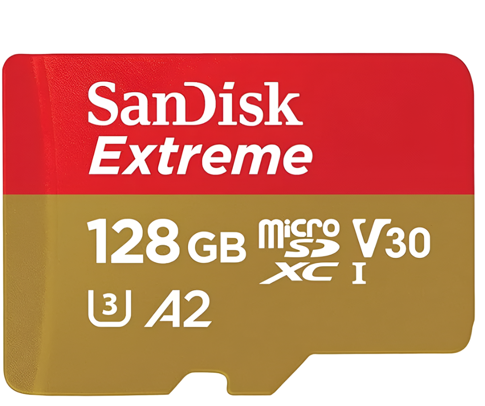 V30 Mico SD cards