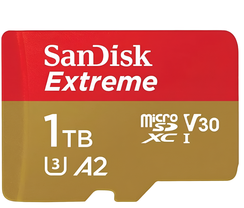 V30 Mico SD cards
