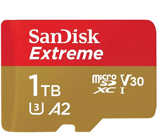 V30 Mico SD cards