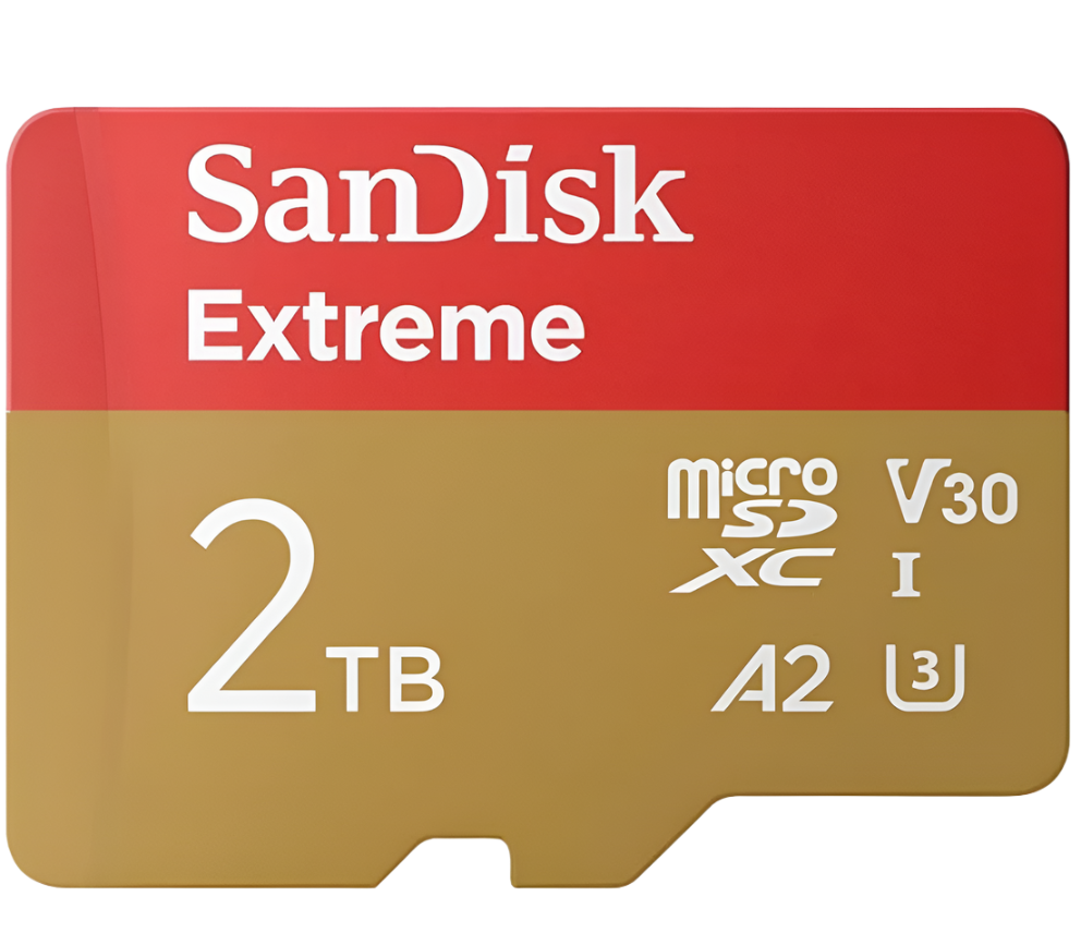 V30 Mico SD cards