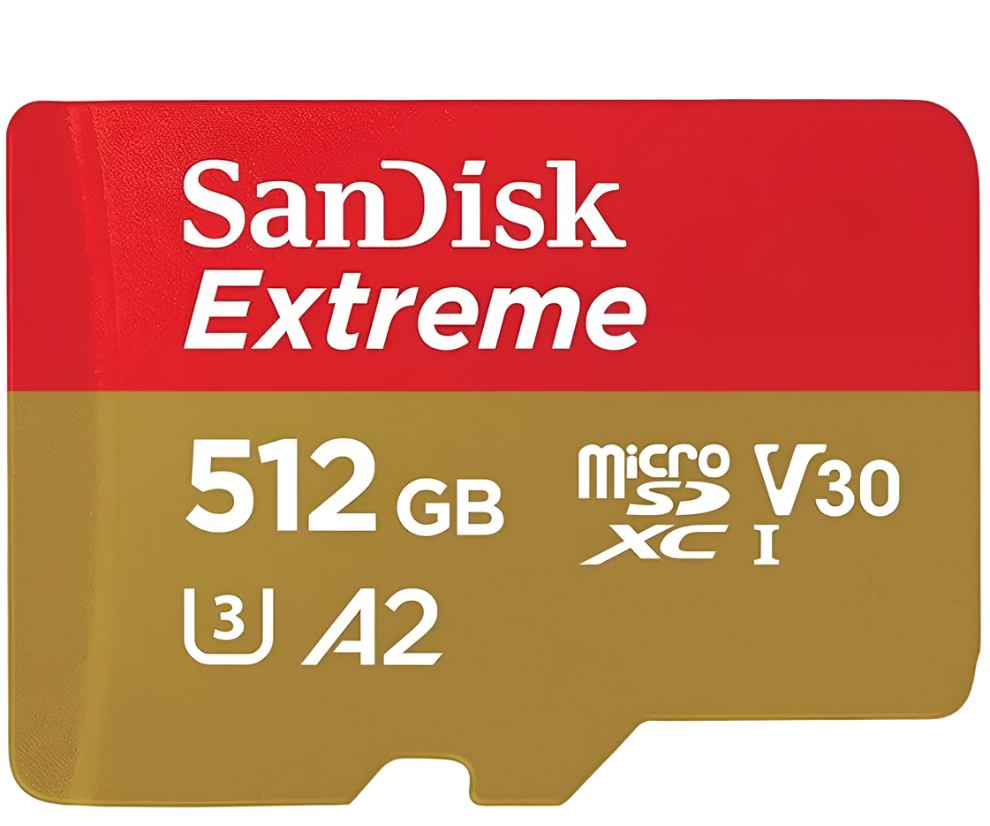 V30 Mico SD cards